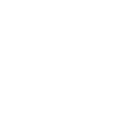 Light burst
